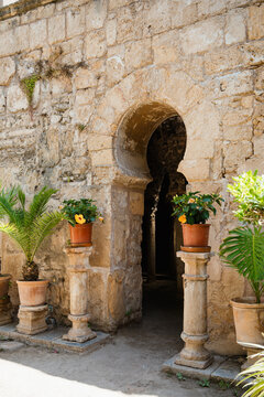 Arab-Style Botanical Garden in the Heart of Palma de Majorca