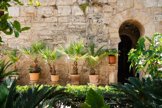 Arab-Style Botanical Garden in the Heart of Palma de Majorca