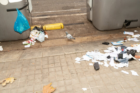 Urban Street Litter Scene