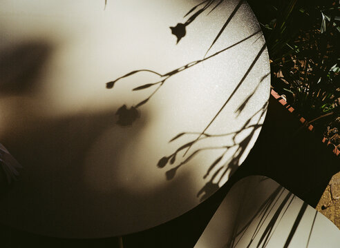 Shadows of Flowers on a Round Table in a Garden Setting