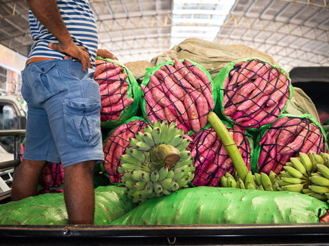 Bananas and Sweet Potatoes Stacked in a Market Truck