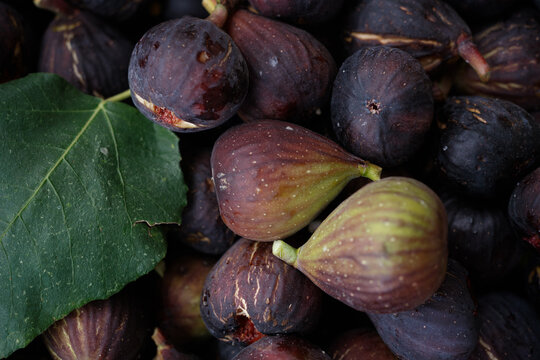 Fresh Figs and Green Leaves Close up