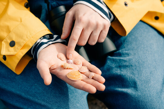 Holding Seashells While Sitting on the Ground at the Beach