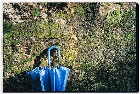 Blue Umbrella on Mossy Wall