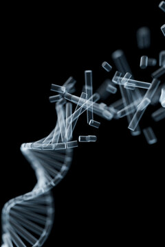 Disintegrating DNA strand in motion