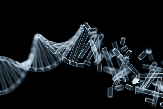 DNA helix breaking apart into elements