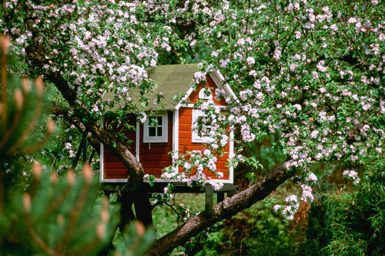 Tree house built in a blossoming apple tree