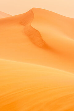 Wind Shaped Sand Dune