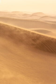 Wind Shaped Sand Dune