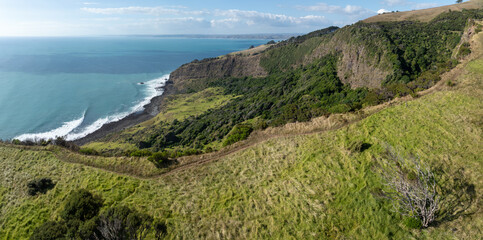 Fototapeta premium A scenic coastal path winds through lush green hills overlooking the turquoise ocean near Raglan, Waikato, New Zealand. The dramatic cliffs and dense forest showcase the natural beauty of the region.