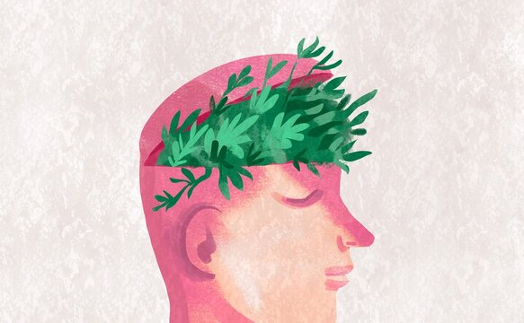 New Thoughts Take Root: A Metaphor for Mental Renewal