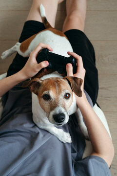 Enjoying Gaming Time With a Furry Friend on a Cozy Afternoon