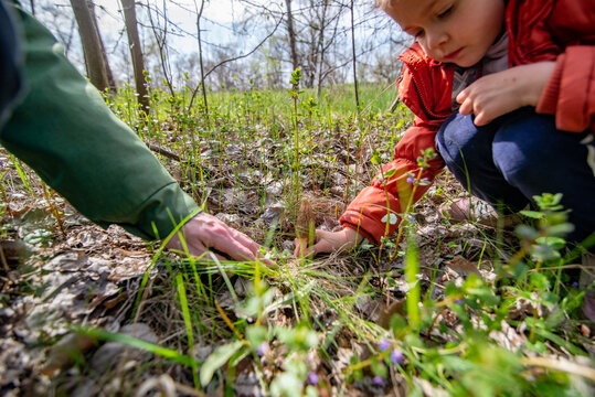 Father and child picking mushrooms