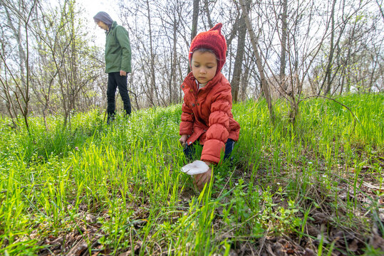 Father and child picking  spring mushrooms