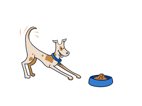 Dogs Dinner