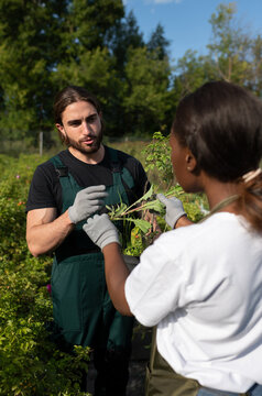 Man discussing plant with black colleague
