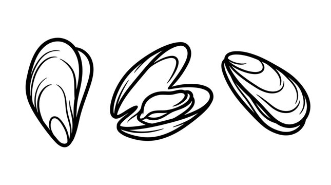 Illustration of Fresh Mussels in Various Stages of Opening.
