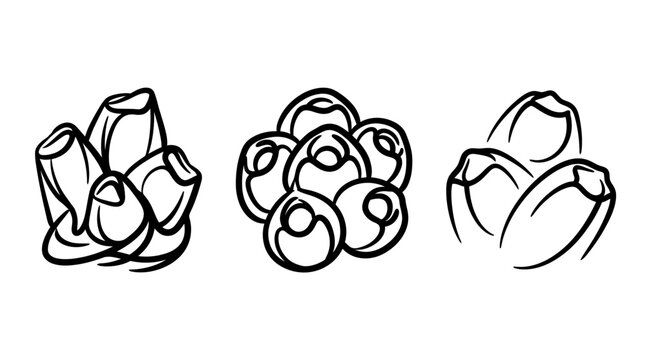Ink Illustration of Barnacles - Coastal Marine Life Depicted in Black and White.