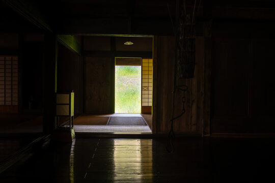 薄暗い日本家屋の和室から開かれた戸口を通して望む光あふれる緑の風景
