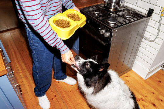 Kibble time