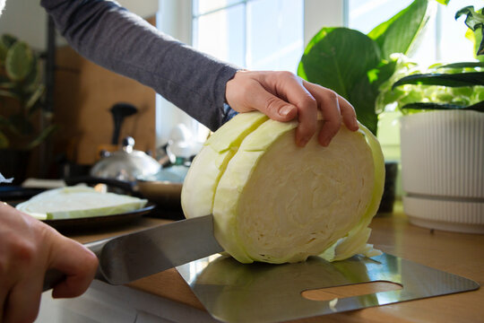 Woman slicing white cabbage for healthy cooking