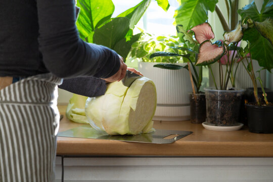 Woman preparing fresh white cabbage for healthy meal