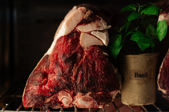 Raw beef steak on shelf next to potted basil