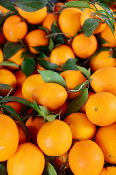 Fresh oranges with green leaves