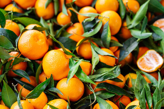 Fresh mandarins with leaves