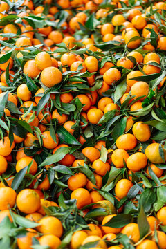 Fresh mandarins with leaves