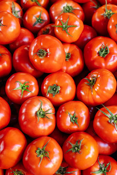Fresh red tomatoes