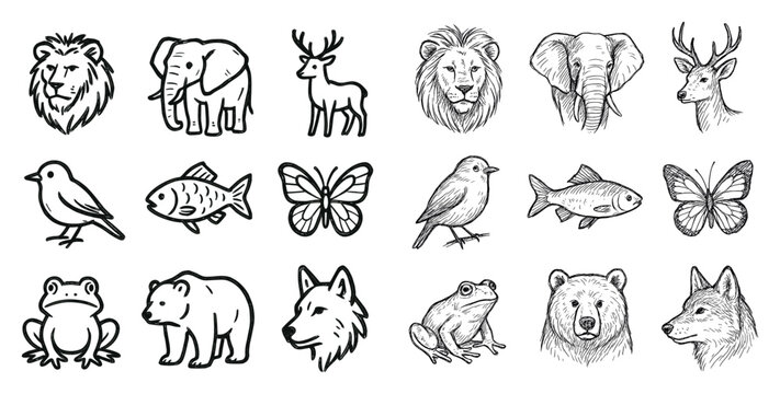 Wildlife icons with lion elephant deer sketch