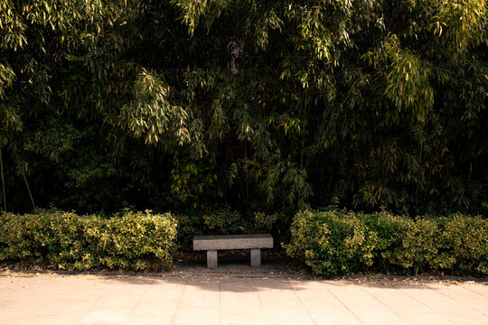 Stone Bench in Bamboo Garden