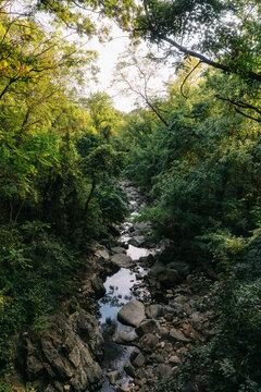 Creek in the woods
