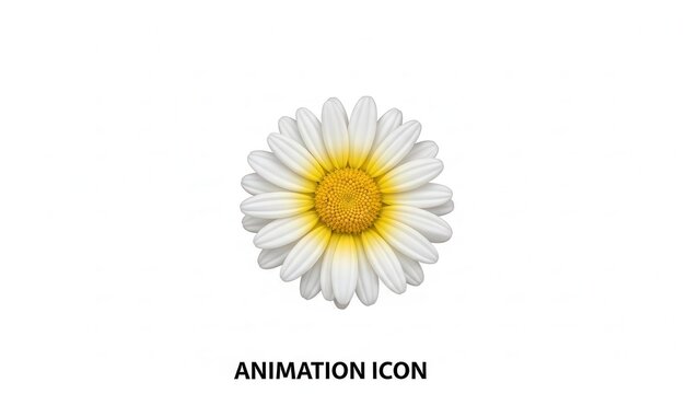 Beautiful white daisy flower with vibrant yellow center digital illustration on clean background