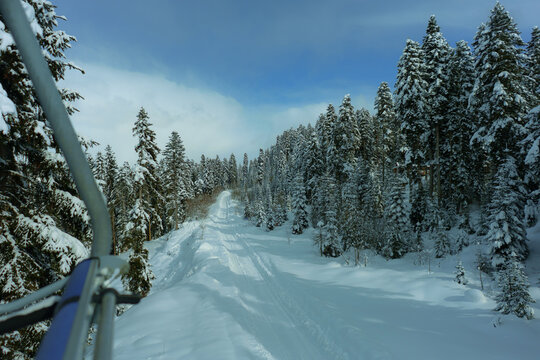 View of forest and ski slope from ski lift 