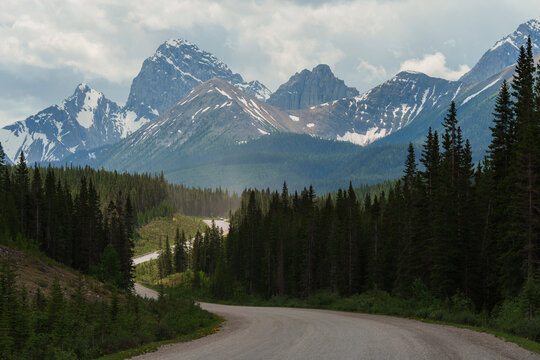 Open road on sunny day in Canadian Rockies 