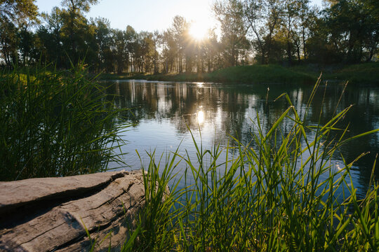 Morning above the Bow River in natural setting 