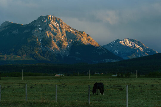 Horse on the rancho on the background of Rocky mountains 