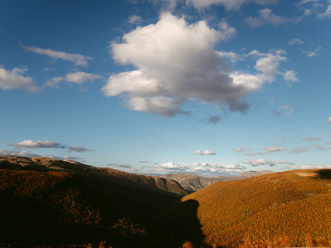 Rolling autumn hills valley under cloudy blue sky in Norway