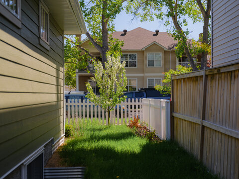 Quiet, suburban atmosphere of the backyard 