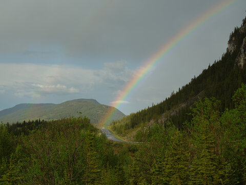 Rainbow above pine tree forest in Canadian Rockies 