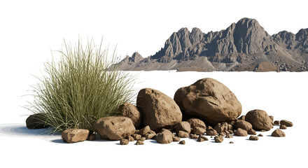 Desert landscape with a clump of green grass and rocks © Stock_Crafters