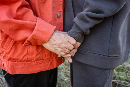 Couple holds hands in a natural setting