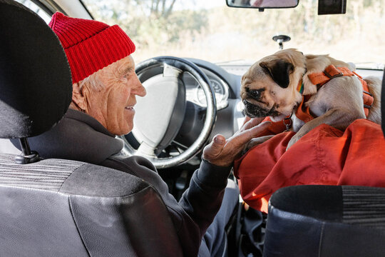 A couple with a dog in a car.