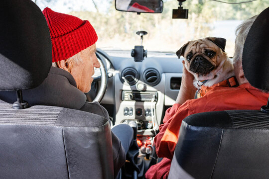 A man and a woman with a dog in a car.