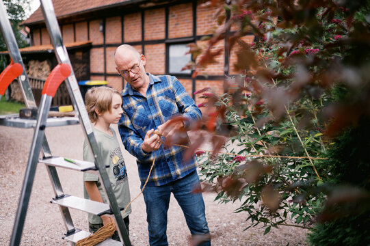 grandfather and grandchild working together in garden