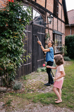 middle aged woman pruning tall climbing rose in germany