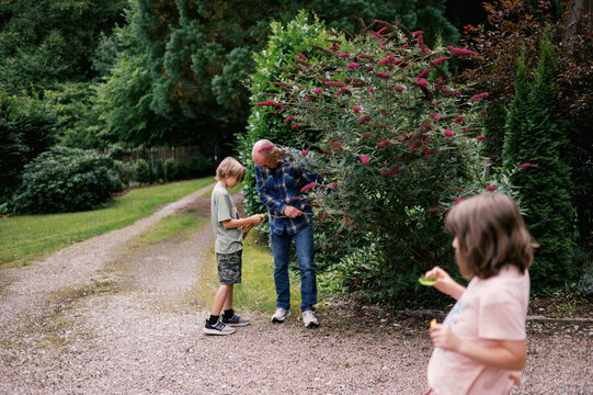 grandfather and grandchild working together in garden