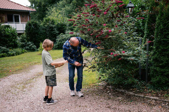 grandfather and grandchild working together in garden